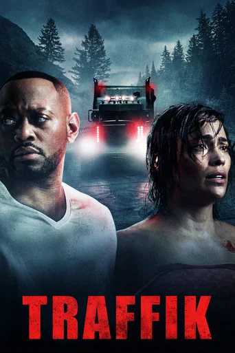 Regarder Traffik en streaming complet