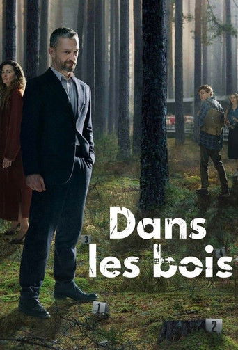Regarder Dans les bois en streaming complet