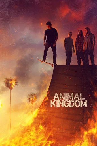 Regarder Animal Kingdom en streaming complet