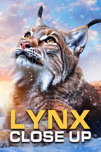 Regarder La forêt des lynx en streaming complet